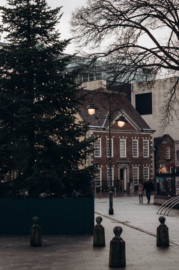 A Large Tree In The Town Square Decorated For Christmas 