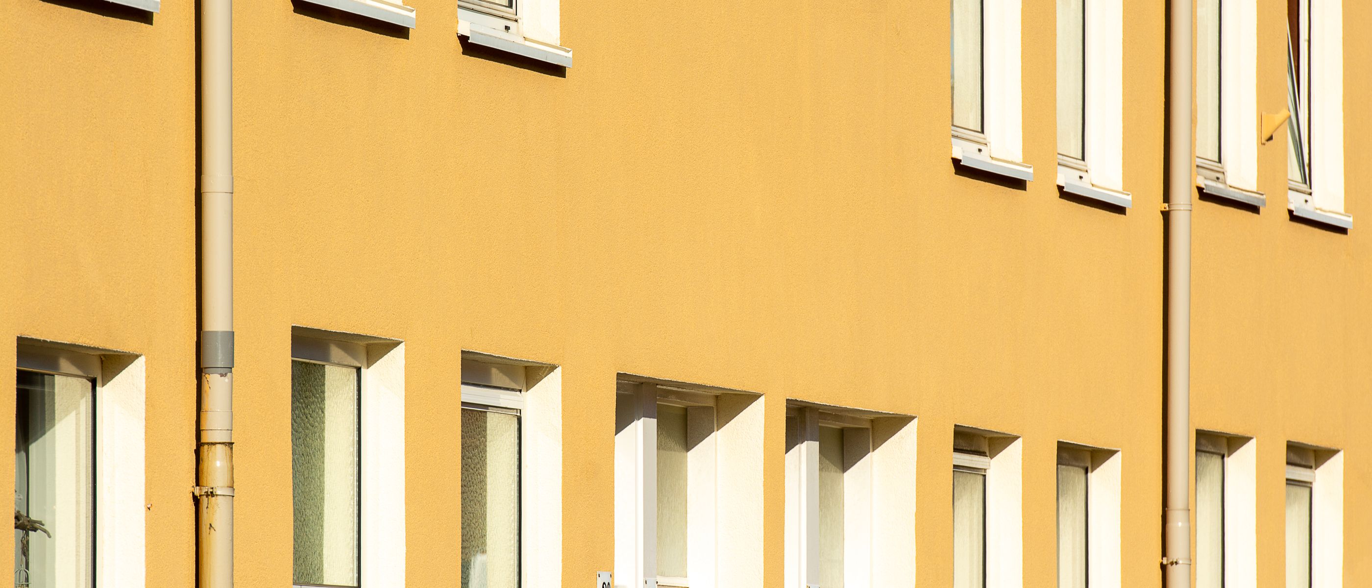 Exterior Painting in Tooting Bec — quality trade paint going on in two coats