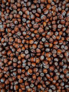 hazelnuts brown shells