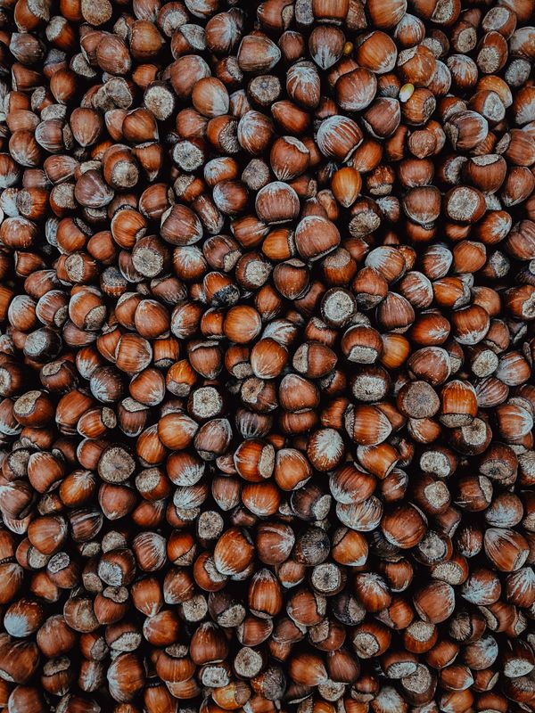Fresh hazelnuts, the base of the Nut Master line