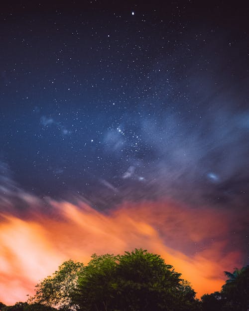 Základová fotografie zdarma na téma listy, mraky, obloha