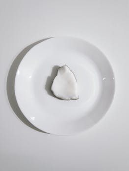 A simple, minimalist photograph of a coconut slice centered on a white porcelain plate.