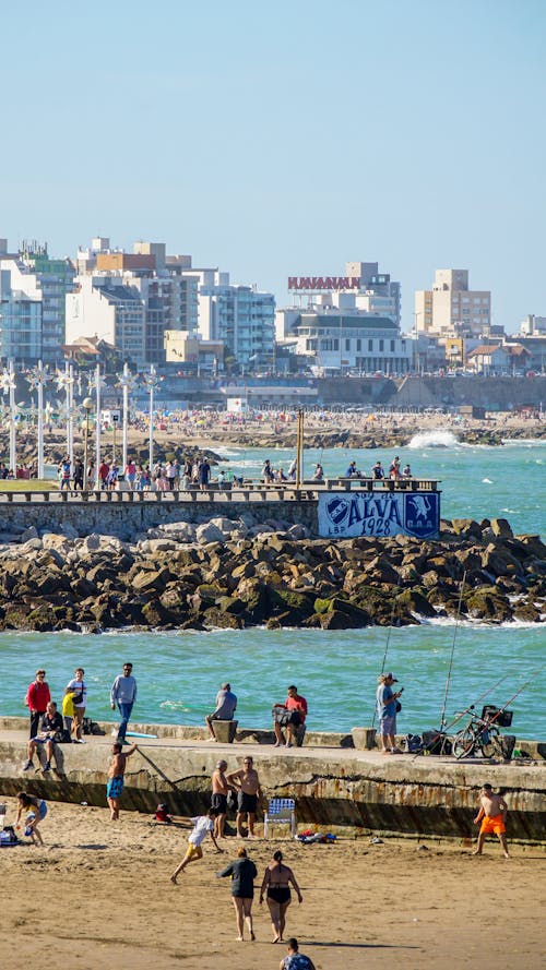 Základová fotografie zdarma na téma Argentina, beach goers, chůze