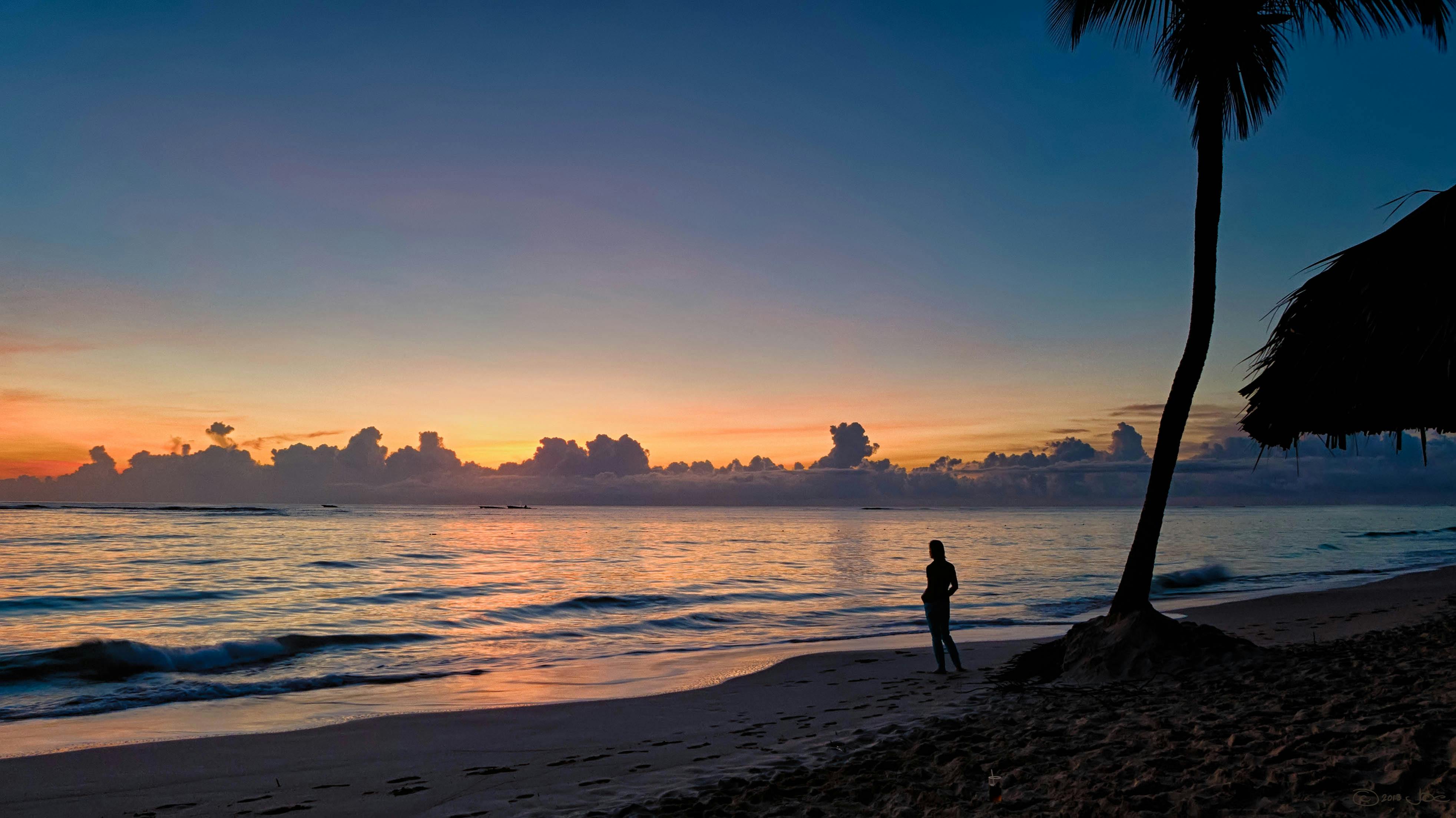 Silhouette Of A Person Near Coconut Tree On Shore During Golden