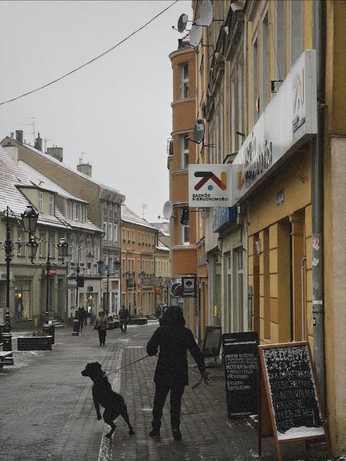 Person Walking with a Dog on Sidewalk