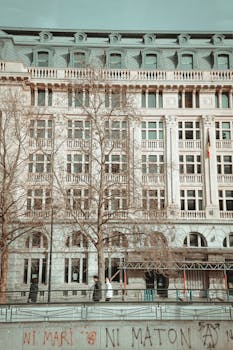 Elegant historic building in Brussels with bare trees and graffiti in front, showcasing urban contrast.