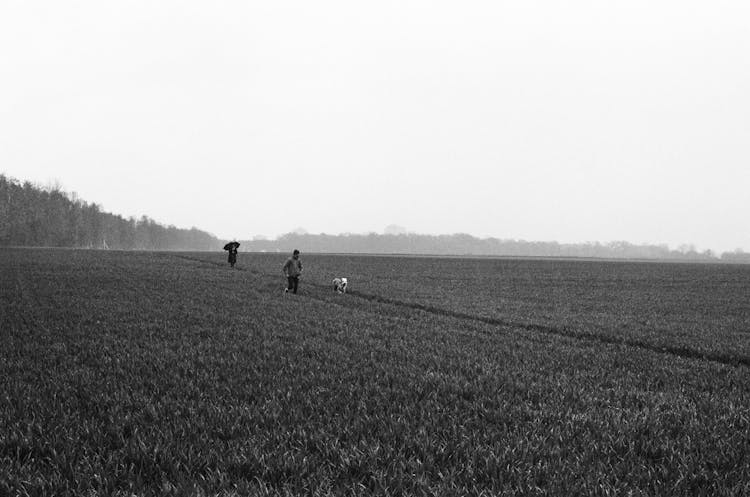 Man Jogging With A Dog Across A Rural Field