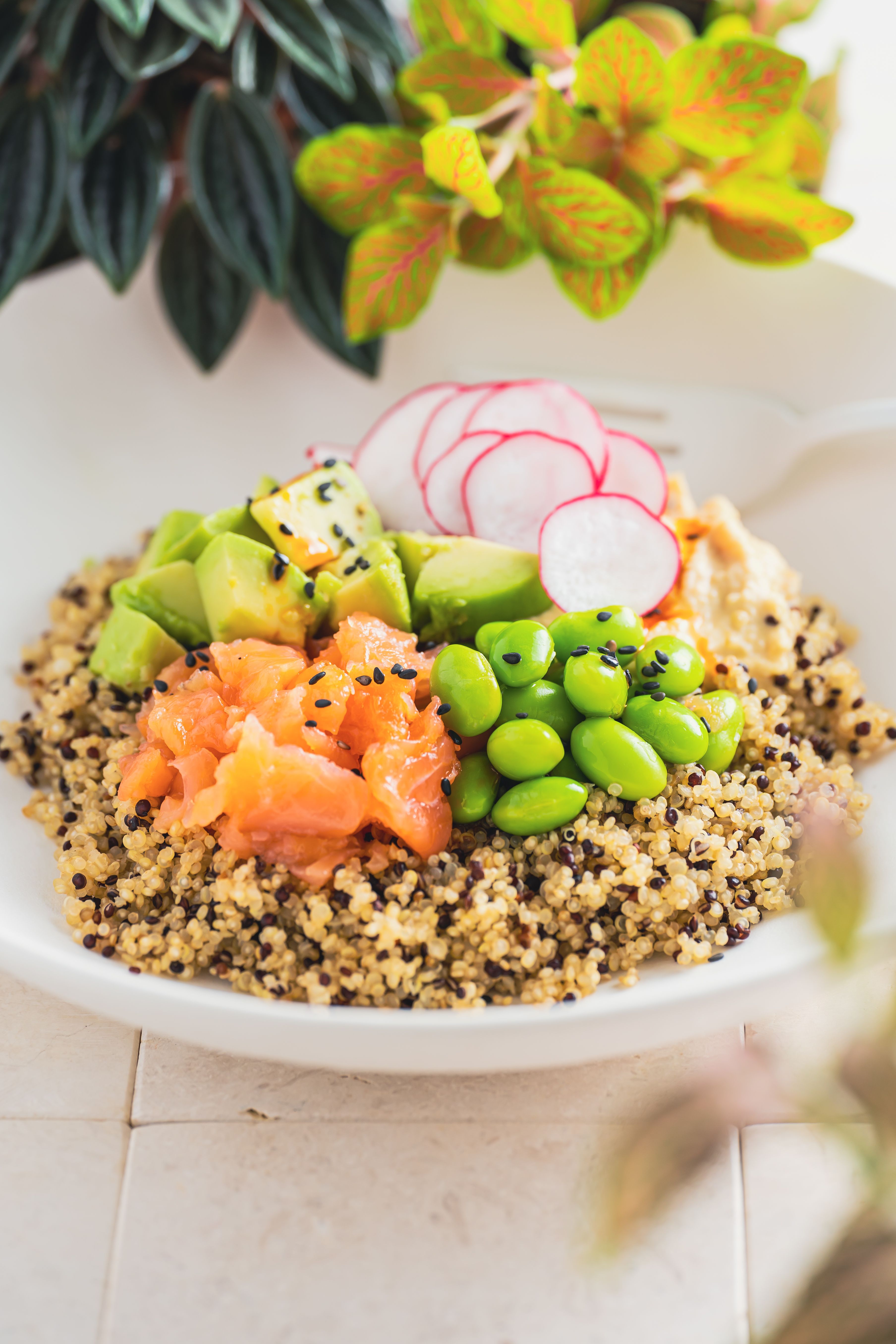 Quinoa salad with salmon, avocado and fresh vegetables