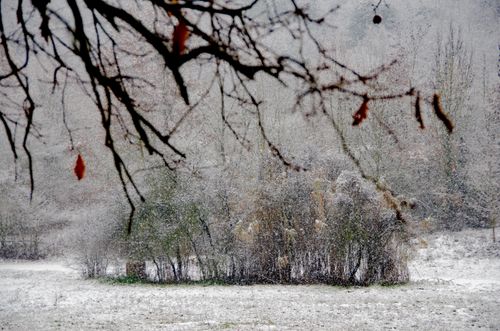 Free winter Stock Photo