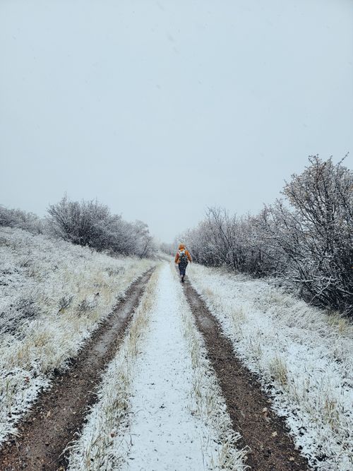 Free A person walking on a snow-covered trail surrounded by winter trees, showcasing a cold and frosty atmosphere. Stock Photo