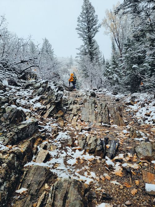 Free Hiker in vibrant jacket exploring a rugged, snow-dusted forest trail in winter. Stock Photo