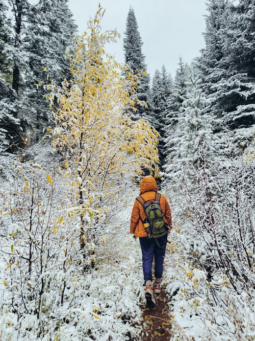 Free Person walking on a snow-covered trail in a frost-laden forest, carrying a backpack in cold weather. Stock Photo