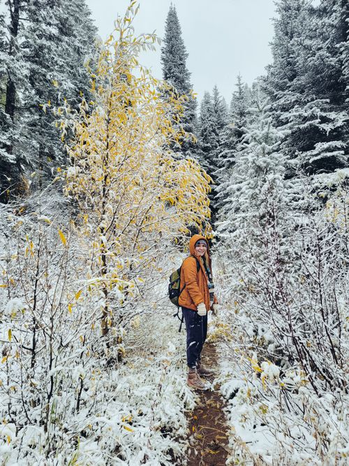 Free A person explores a snowy winter forest trail surrounded by coniferous trees. Stock Photo