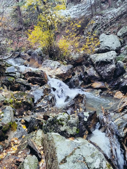 Free stock photo of autumn, cold, colorado Stock Photo
