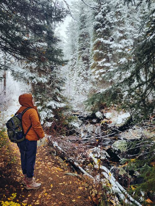 Free Person with backpack exploring a snow-covered coniferous forest trail in winter. Stock Photo