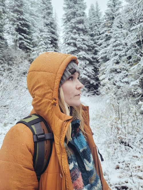Free Woman hiking through snow-covered pine forest in winter apparel. Stock Photo
