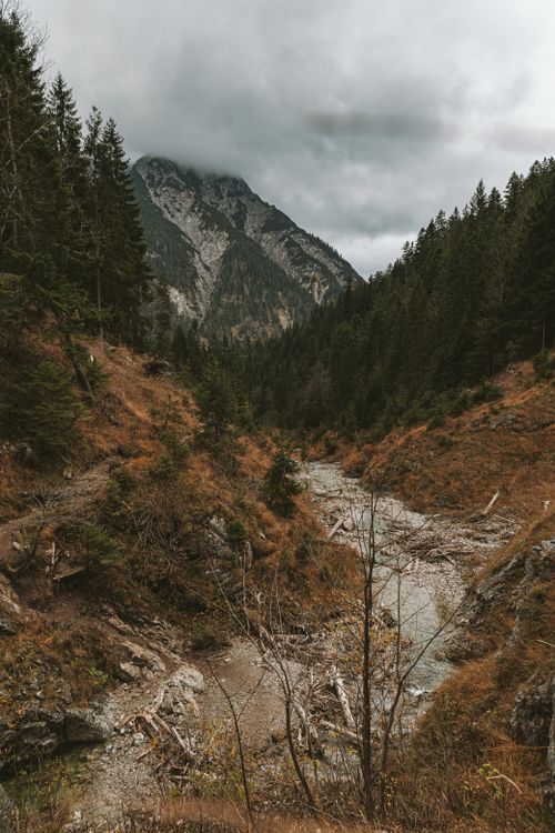 Free A scenic mountain landscape with a rocky creek and pine trees in autumn. Stock Photo