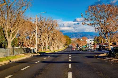 Kostnadsfri bild av asfalt, aveny, blå himmel