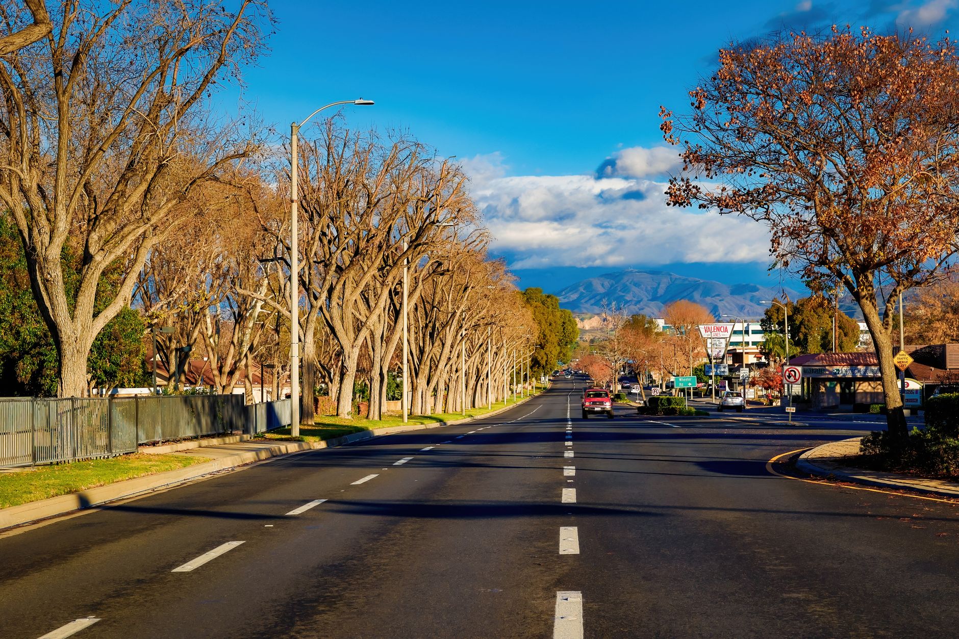 Sunny day view down a tree-lined avenue with clear skies and distant mountain range.