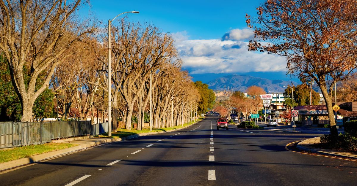 Sunny day view down a tree-lined avenue with clear skies and distant mountain range.