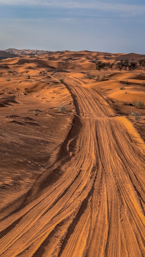 Dirt Road on Desert