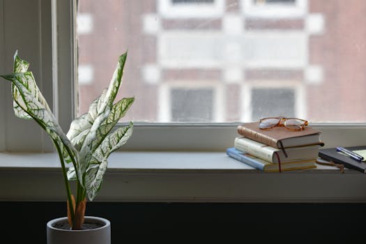 A peaceful indoor scene with books, glasses, and a potted plant by a window in Memphis, TN.