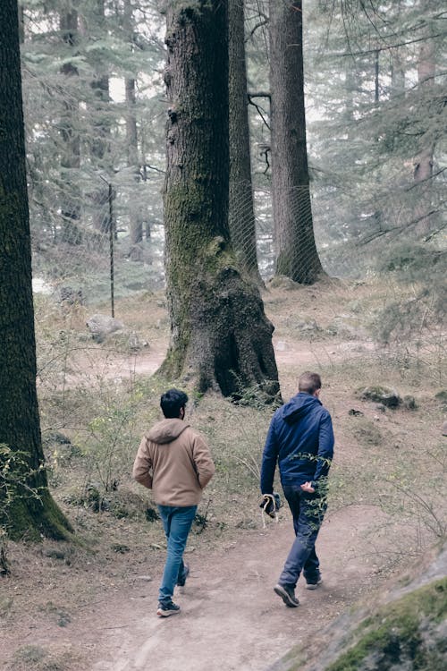 Men Trekking through the Woods