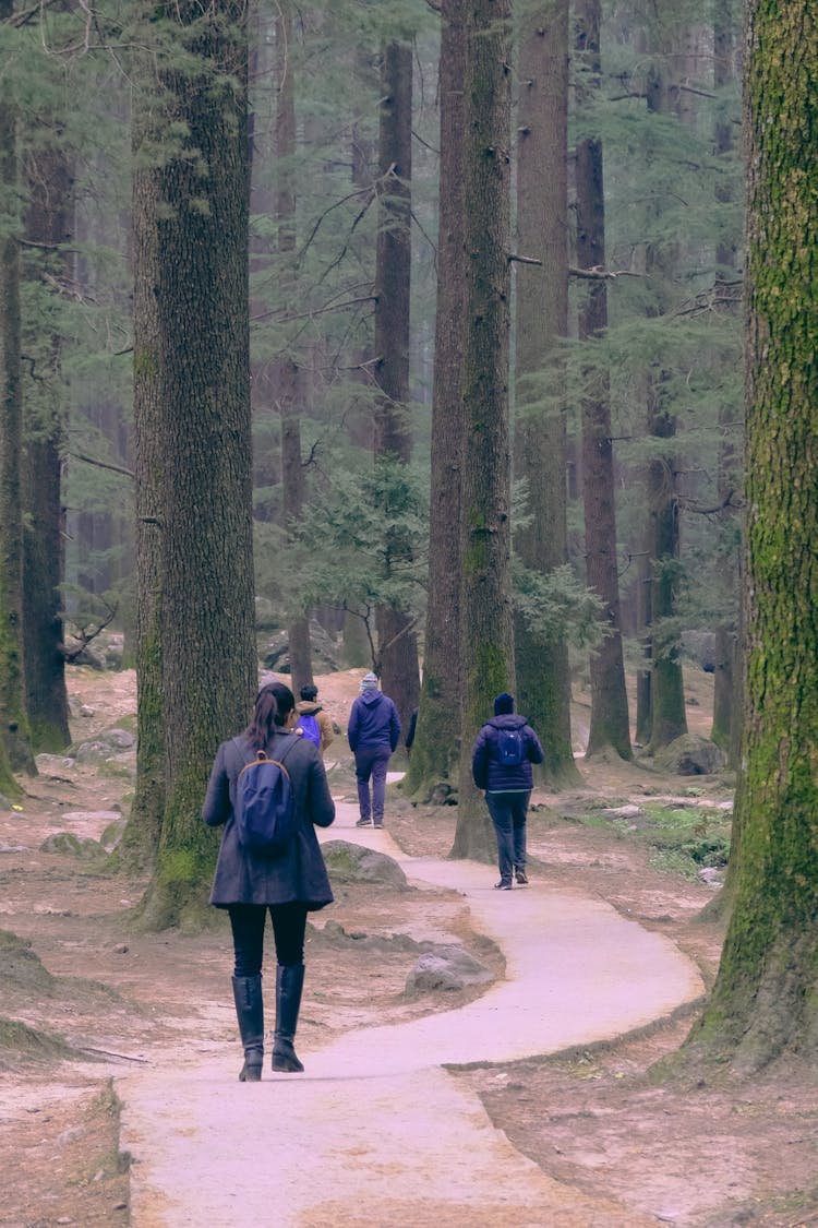 People Trekking Following A Trail