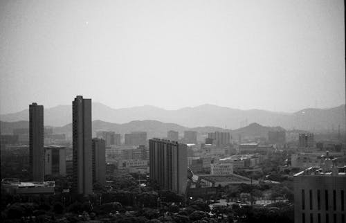 Black and White Panoramic View of a City 