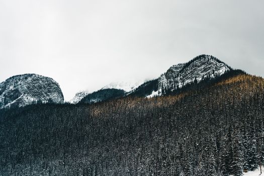 Snow-covered mountains and coniferous forest in winter at Lake Louise, Canada.