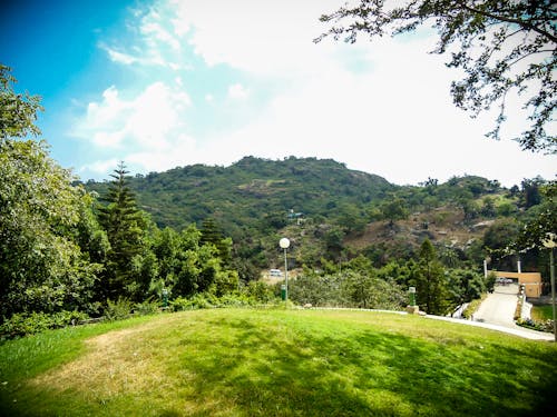 Free stock photo of greenery, gyan sarovar, mount abu