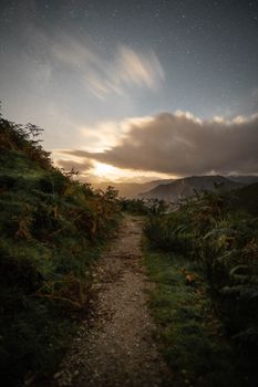 一条宁静的土路蜿蜒穿过郁郁葱葱的绿植，星空之下，远处山脉依稀可见