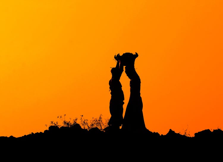 Silhouette Of People Carrying Basket Under Golden Sky