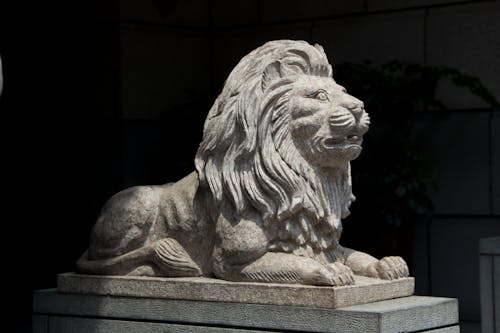 Fotobanka s bezplatnými fotkami na tému kameň, kamenný lev, lev