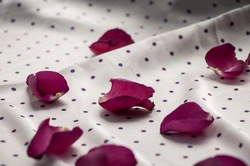 Free Rose petals on fabric in dots Stock Photo