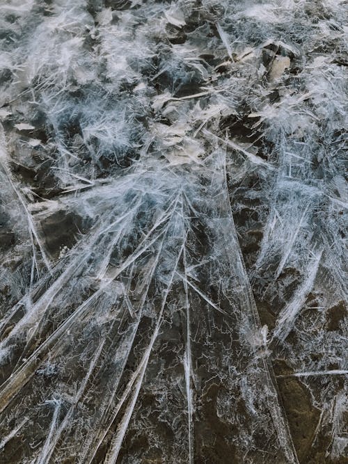 Ice in Winter
