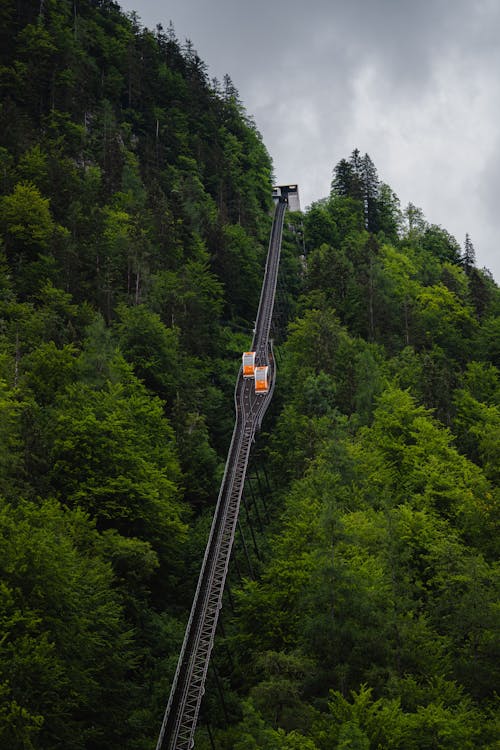 Cable Car in Forest