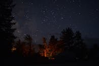 森林上空，星空风景如画，树木轮廓与温暖的营火光芒交相辉映