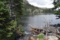 宁静的山湖被森林环绕，以浮木和清澈水面倒映天空为特色