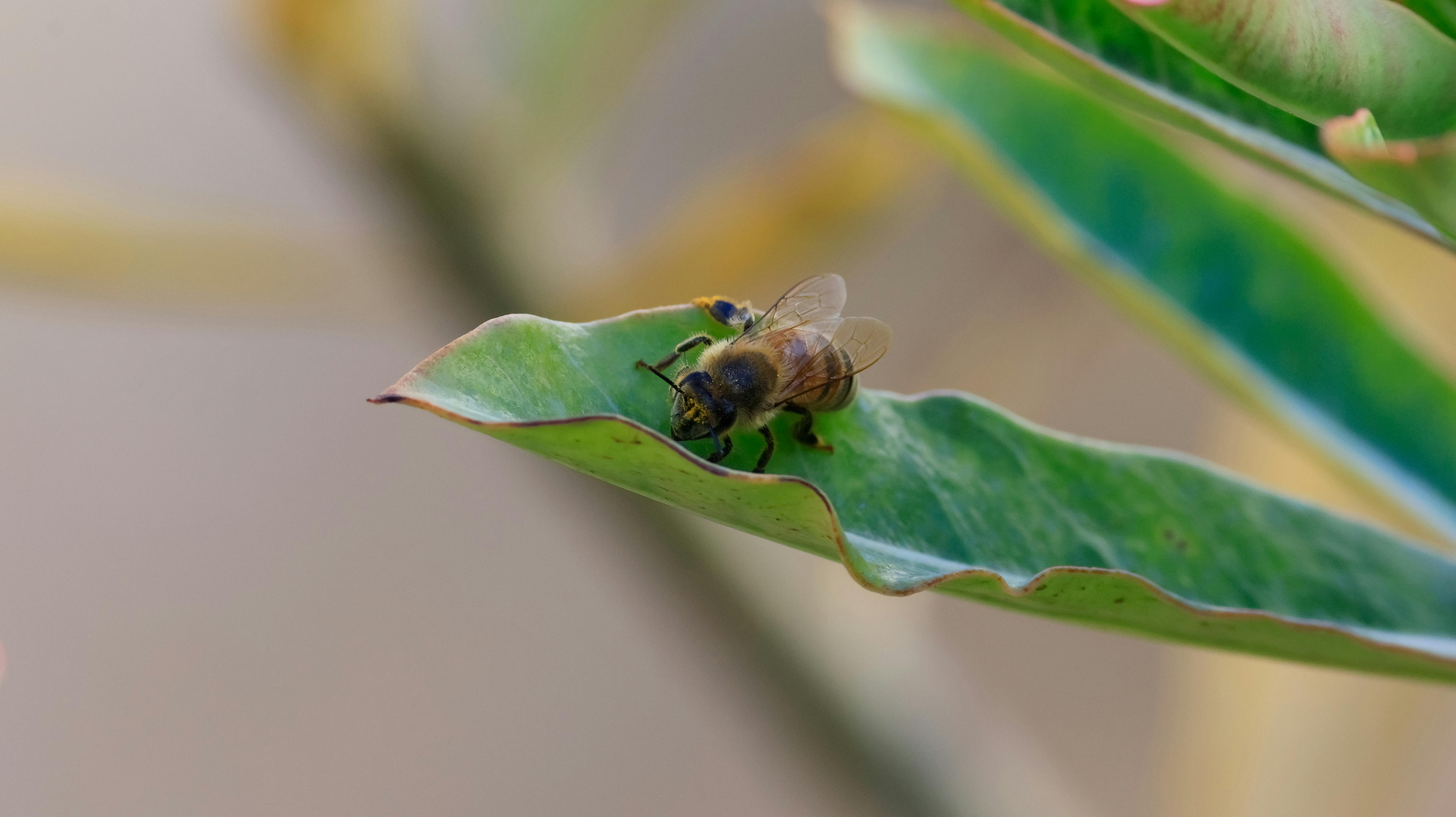 Ark Valley Civics Bee Competition to Send Three Local Students to State — Photo by 哲聖 林 on Pexels