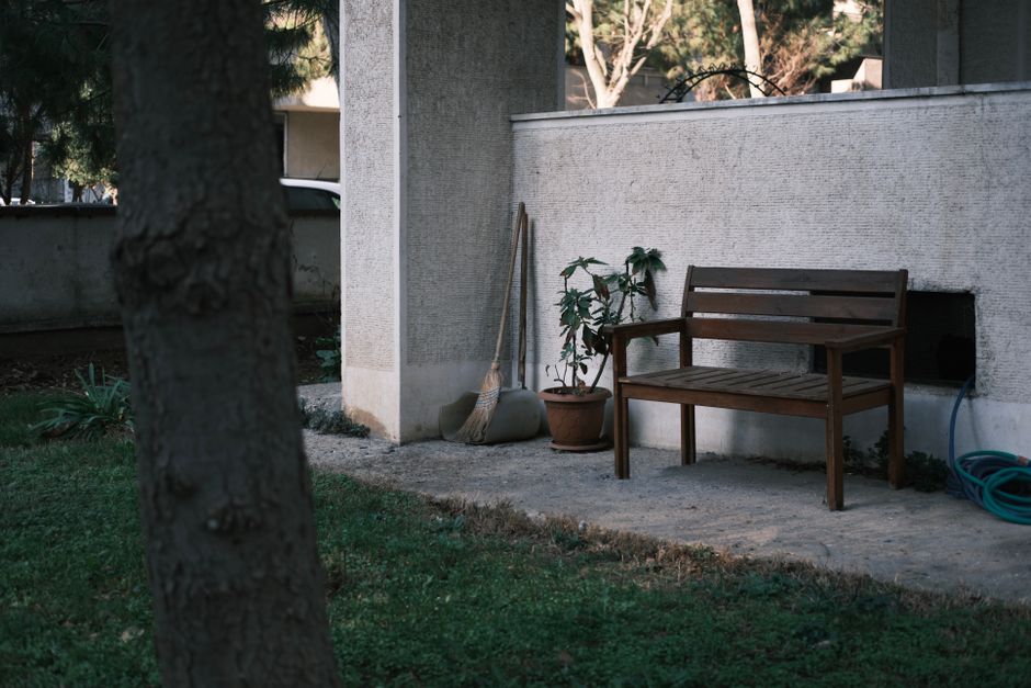 A peaceful garden scene featuring a wooden bench and potted plant next to a wall.