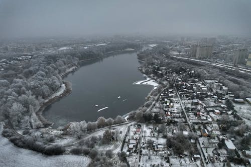 Photos gratuites de arbres, citadin, hiver