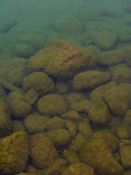 강, 깊은, 돌의 무료 스톡 사진