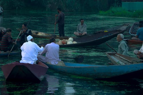 Immagine gratuita di dallake, india, kashmir