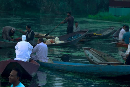 Immagine gratuita di dallake, india, kashmir