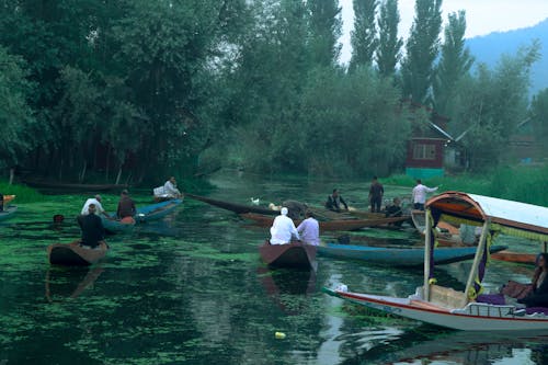 Immagine gratuita di dallake, india, kashmir