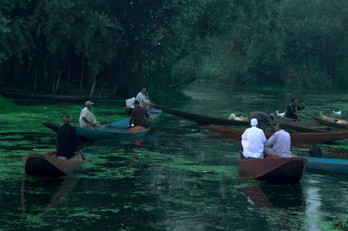 Dal Lake Vegetable Market 