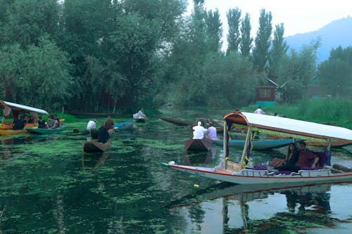 Dal Lake Vegetable Market 