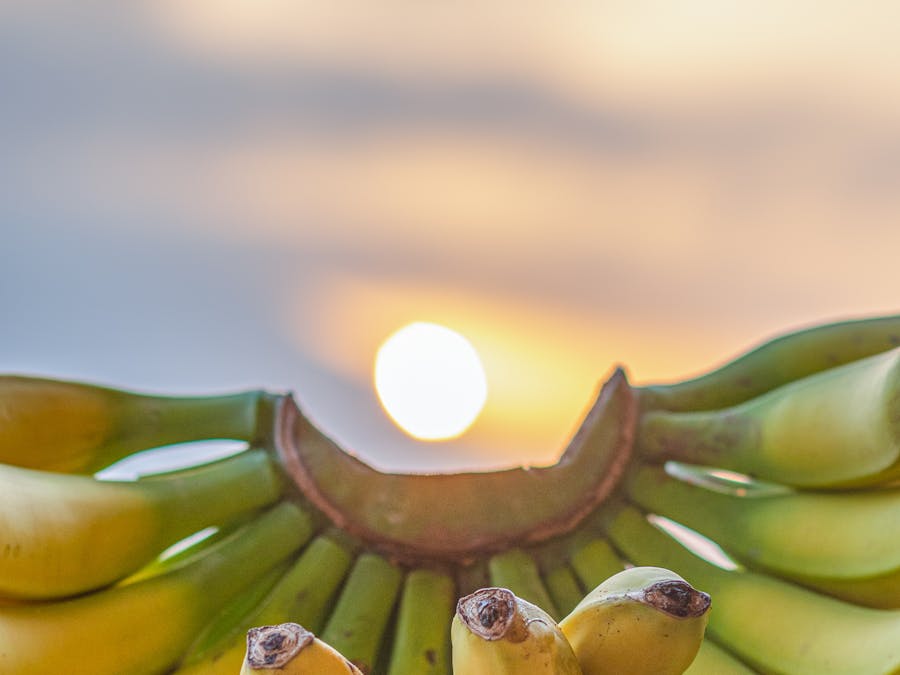 Can bananas lower blood pressure?