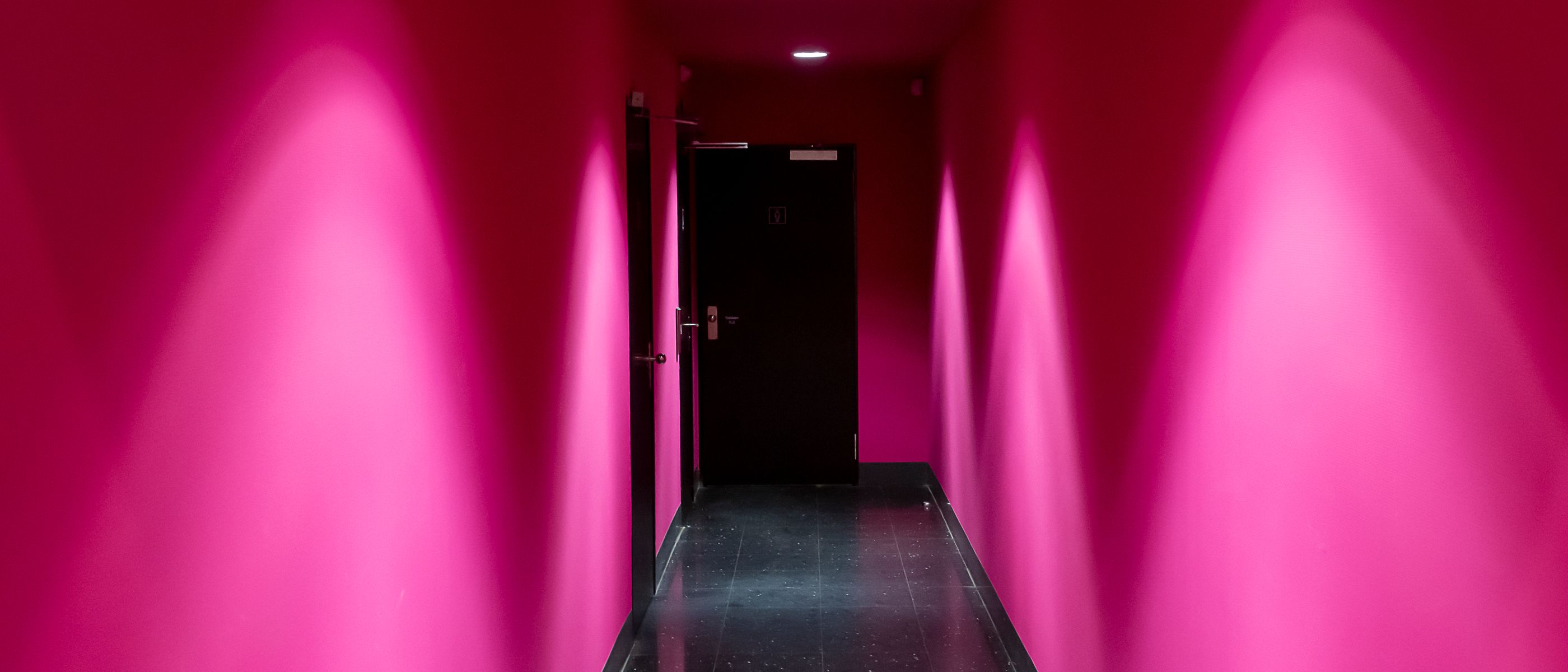 Commercial Decorating in Belmont — the finished result after a professional repaint